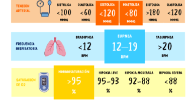 signos vitales